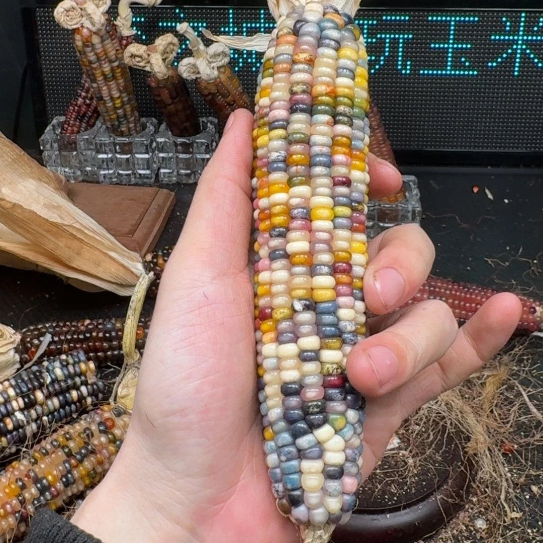 柏香籽/百香籽吊坠风****海