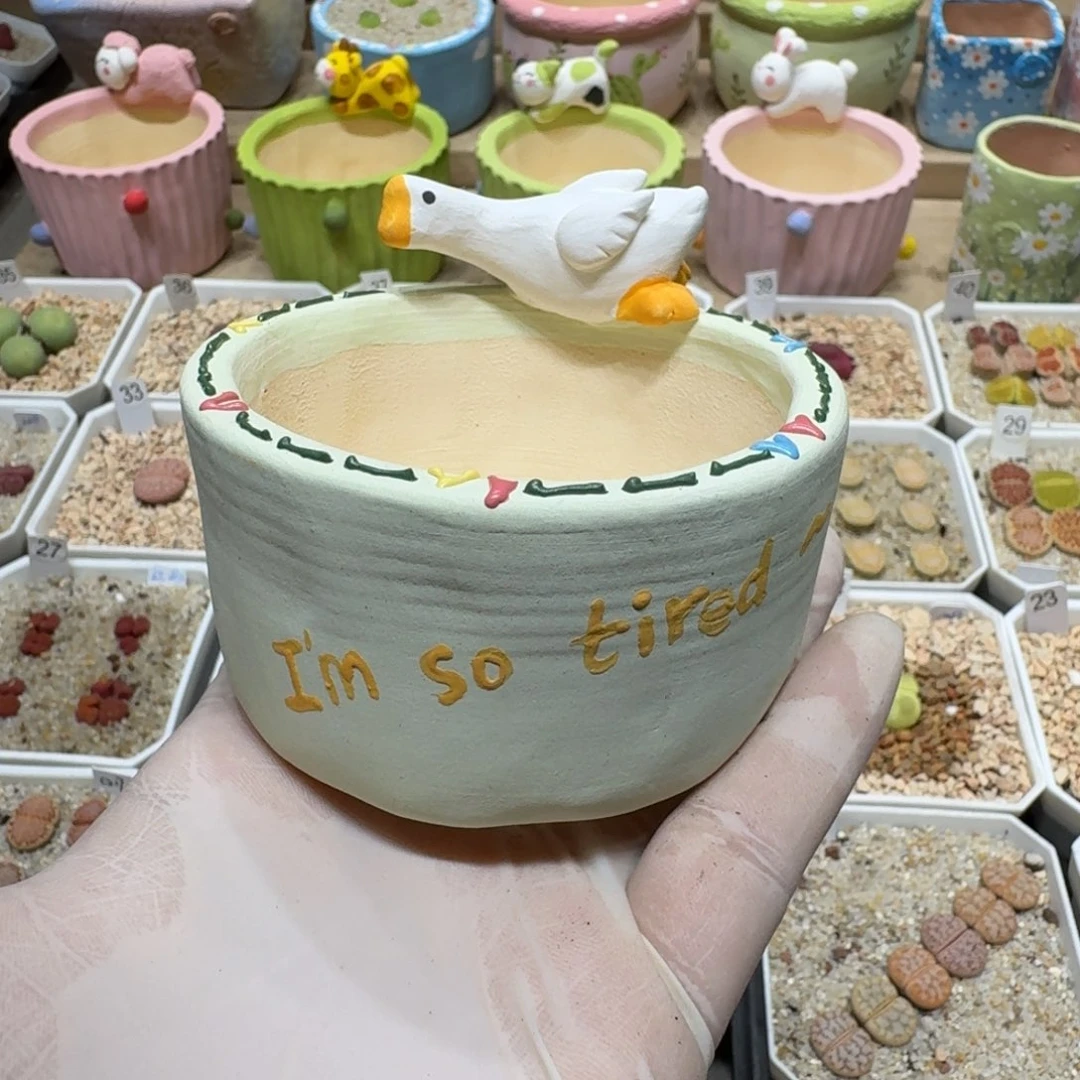 ?****c0530-55盆盆盆