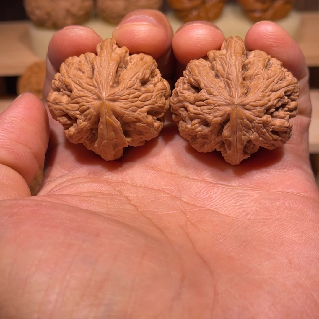 桃核吊坠40全品粗筋