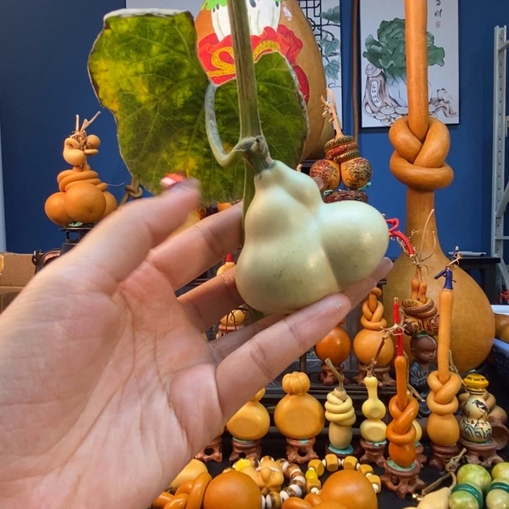 二***坊葫芦葫芦葫芦葫芦