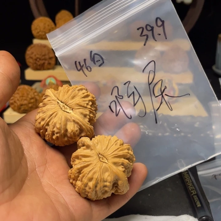 啊***.文玩核桃把件白狮子