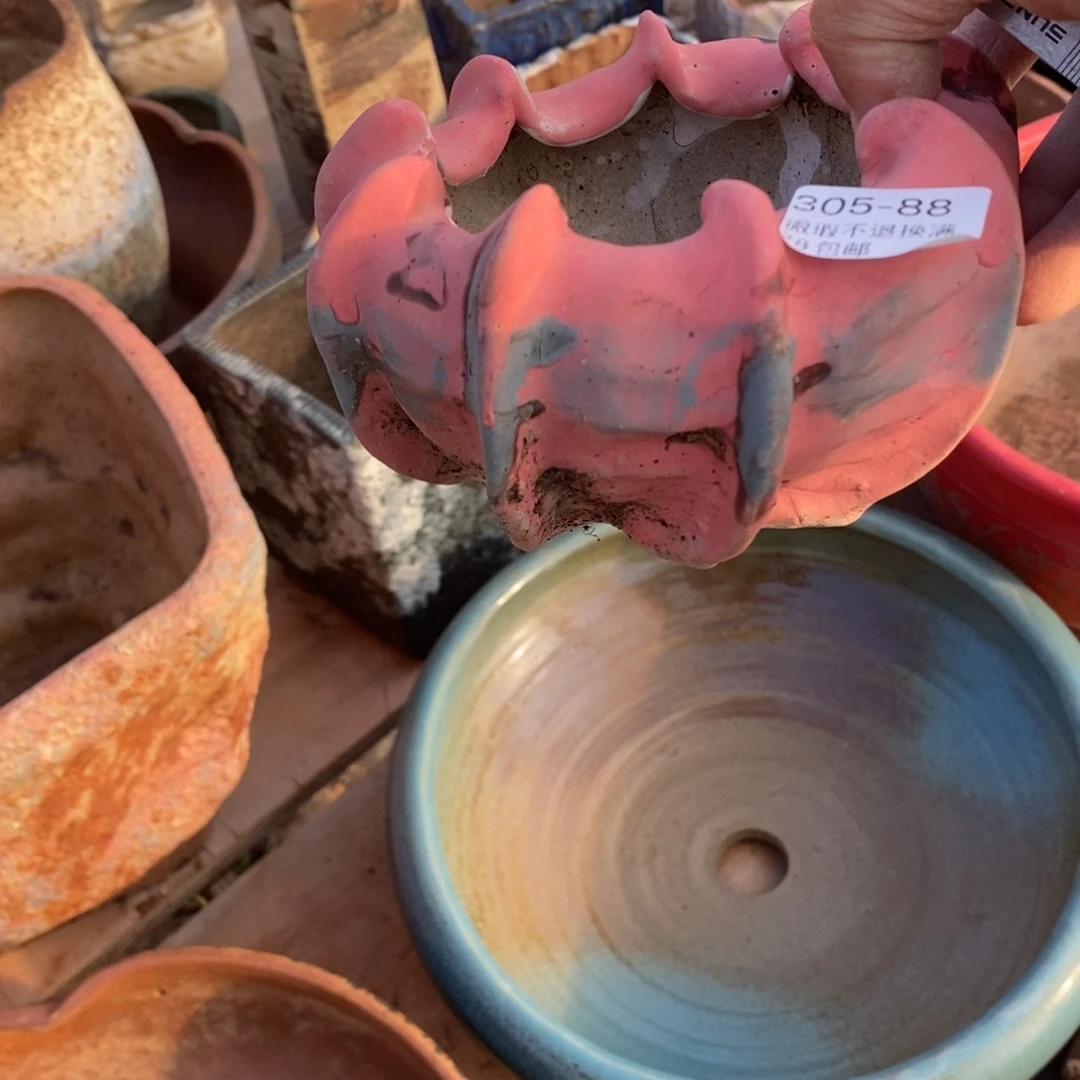 红陶꧁***꧂88号多肉盆一个呀