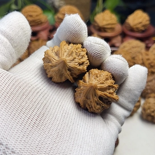 9***7核桃鸡心异形文玩核桃