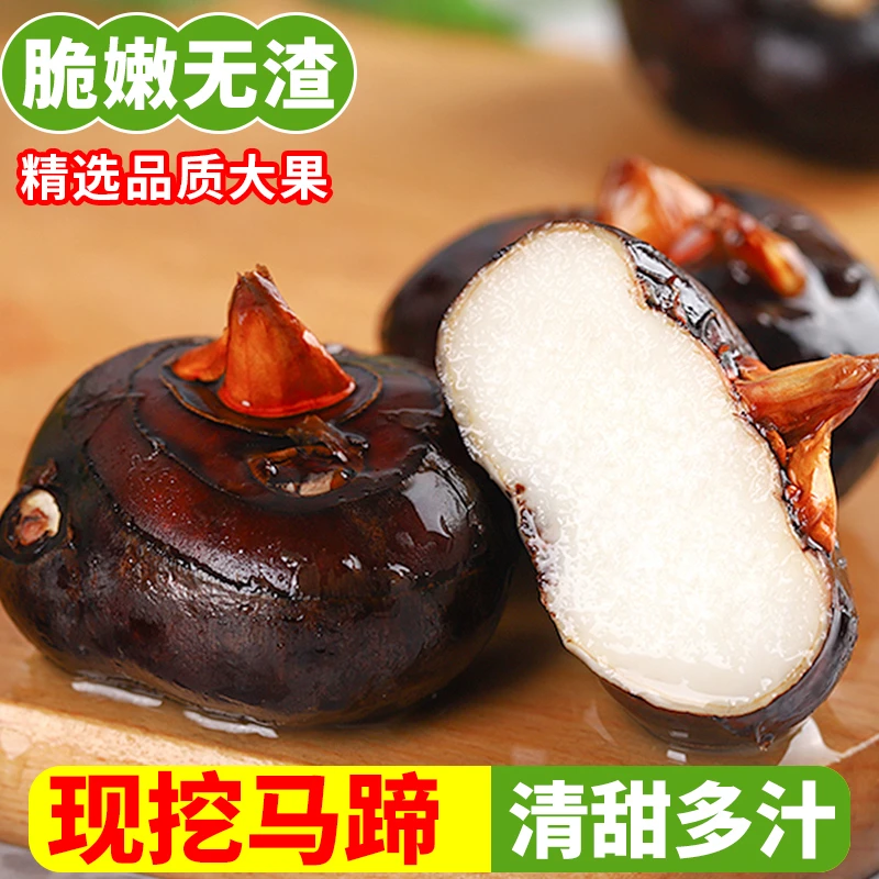 云南马蹄荸荠新鲜大果农家水果即食现挖大地脆栗梨饽荠蔬菜包邮