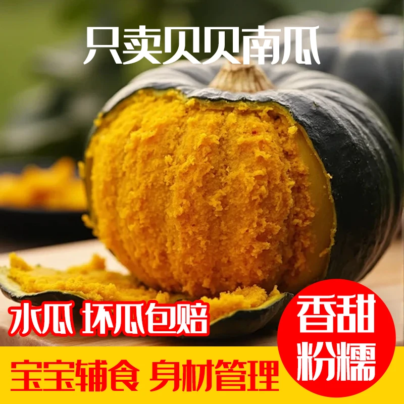 贝贝南瓜正宗山东新鲜4.5斤装粗粮板栗味小南瓜婴儿辅食孕妇粉面