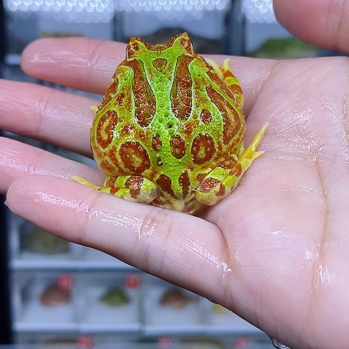 特价秒杀现货特价残