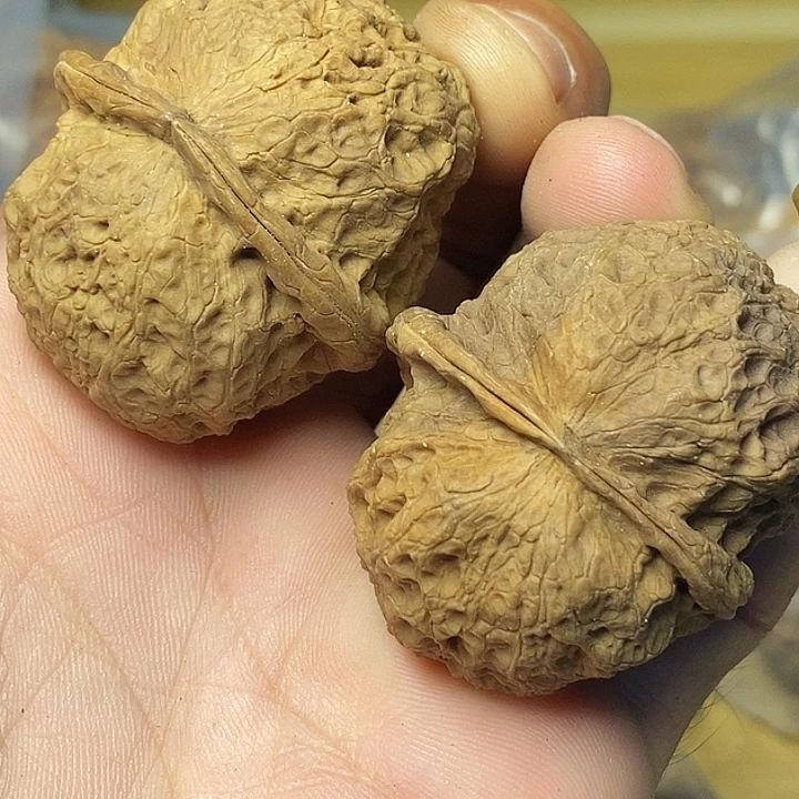 把件文玩核桃云南铁核桃90