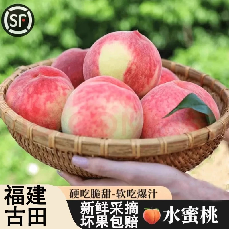 正宗古田水蜜桃脆甜桃子孕妇当季新鲜水果现摘大果顺丰速发