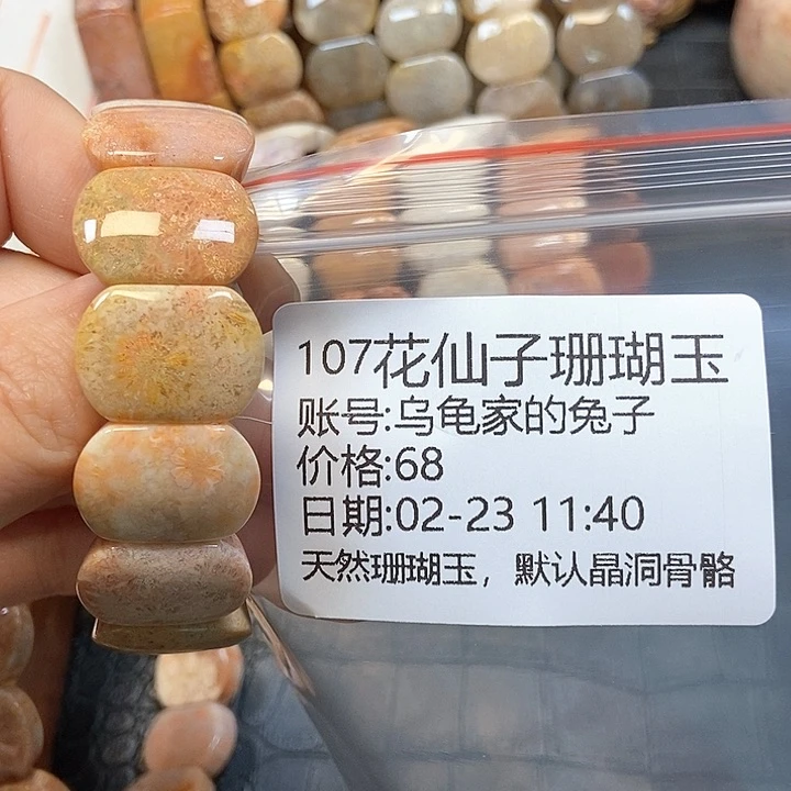 硅化珊瑚（珊瑚玉）手镯未镶嵌乌****子107