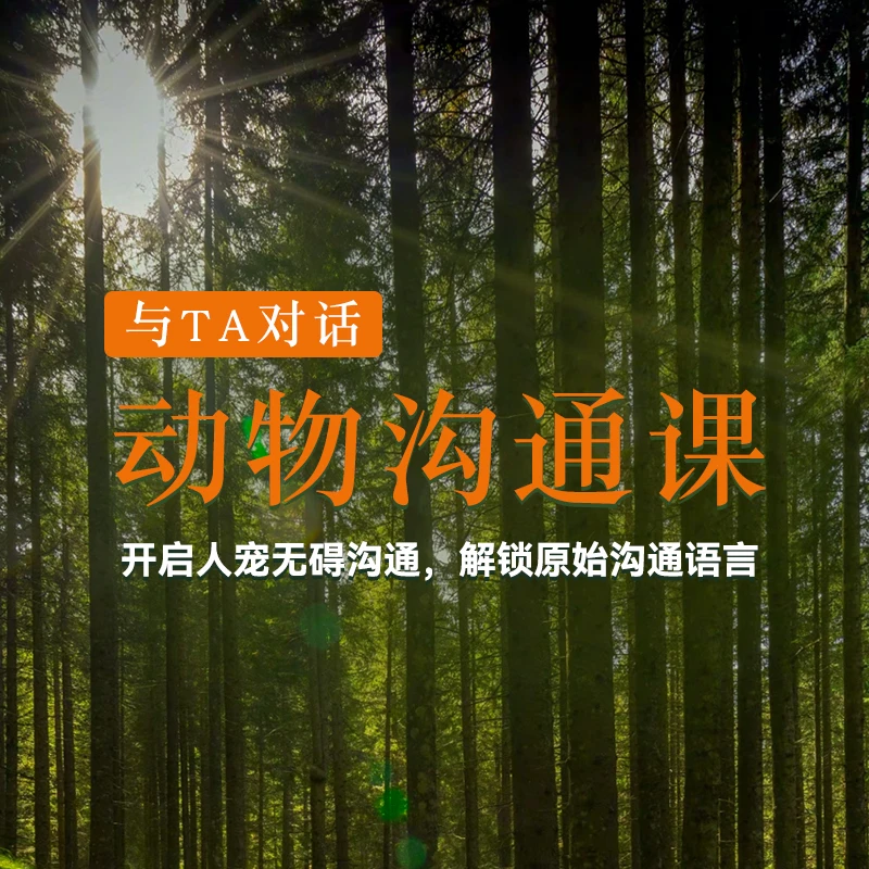 与TA对话·动物沟通课