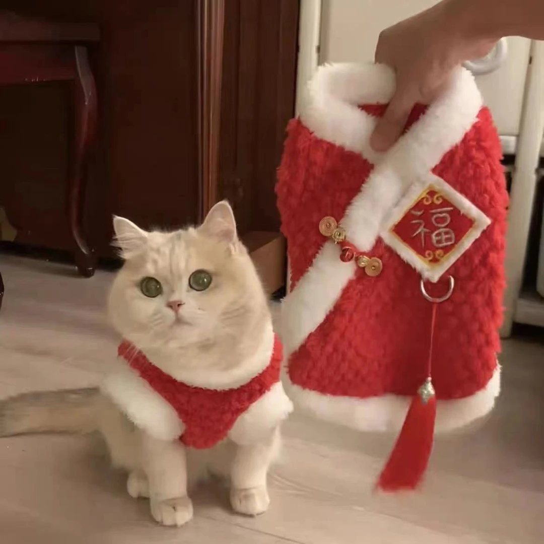 猫咪新年衣服秋冬装可爱ins蓝金渐层布偶猫蓝猫红色过年喜庆FPQ