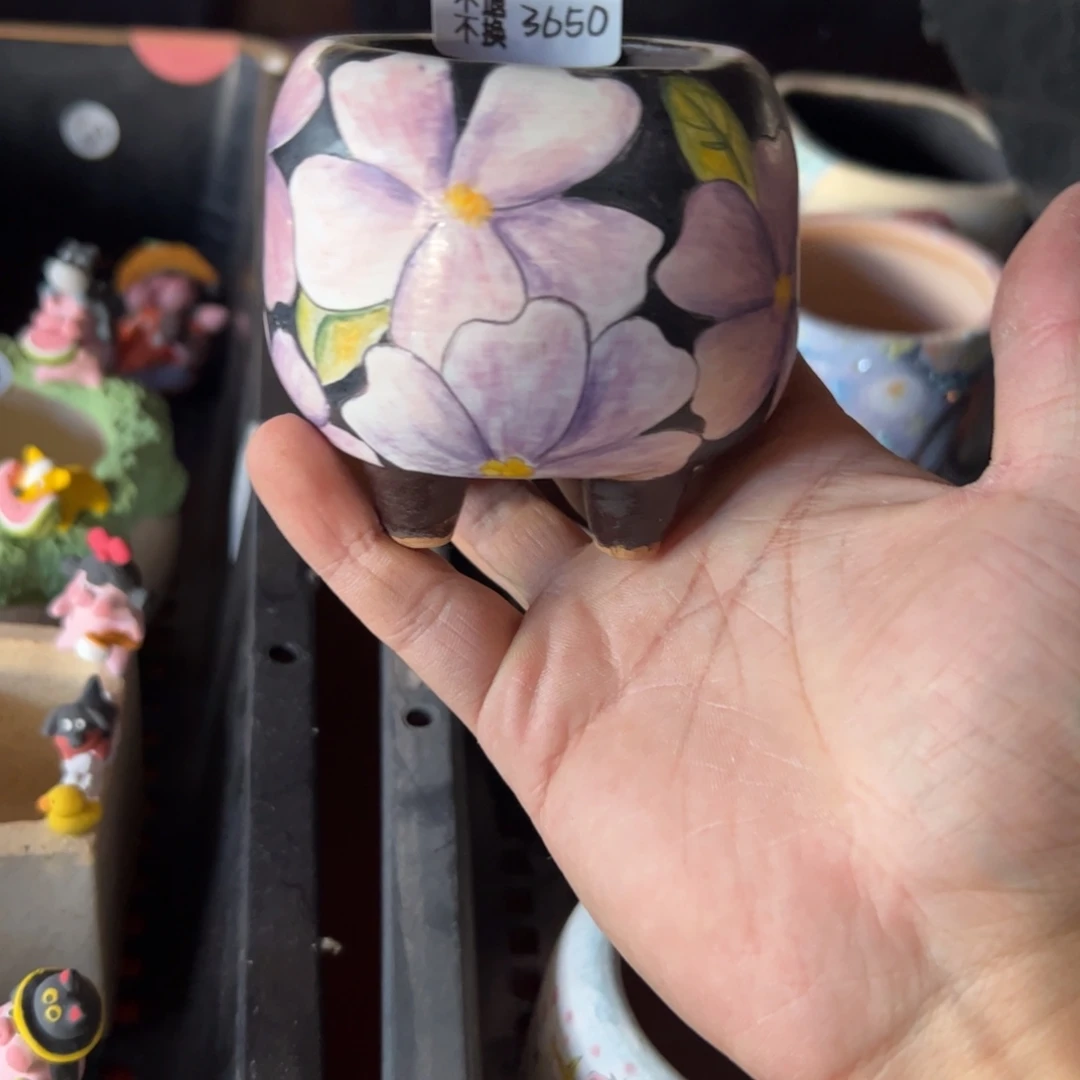 3650福利美盆来咯