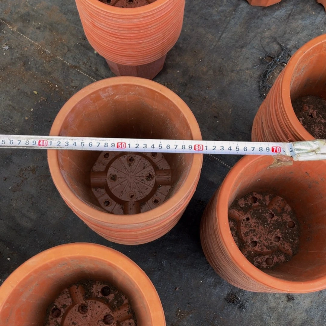 旧口径20高度18 红砖盆20个