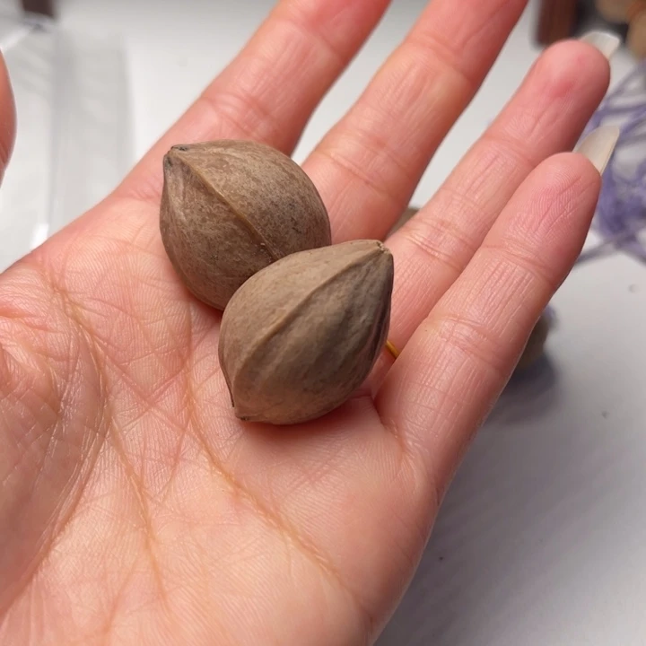 张***浩橄榄核手串/手链2.4