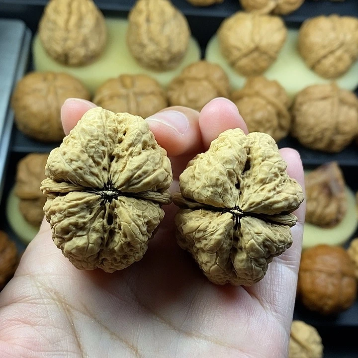 吊坠文玩核桃蝴蝶蟾42