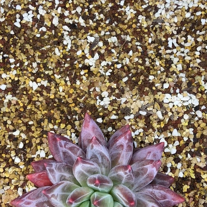 崔***鹏1111111111111111111111