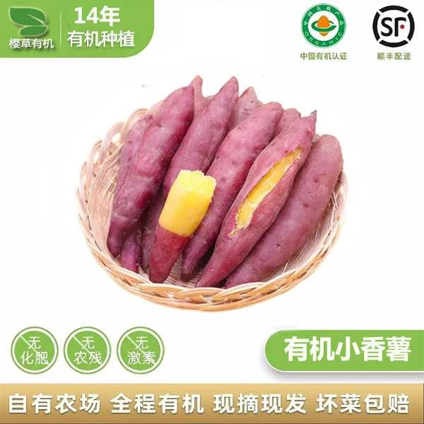 软糯红薯蜜薯顺丰包邮正宗番薯地瓜正宗红薯金寨县樱草蔬菜农场
