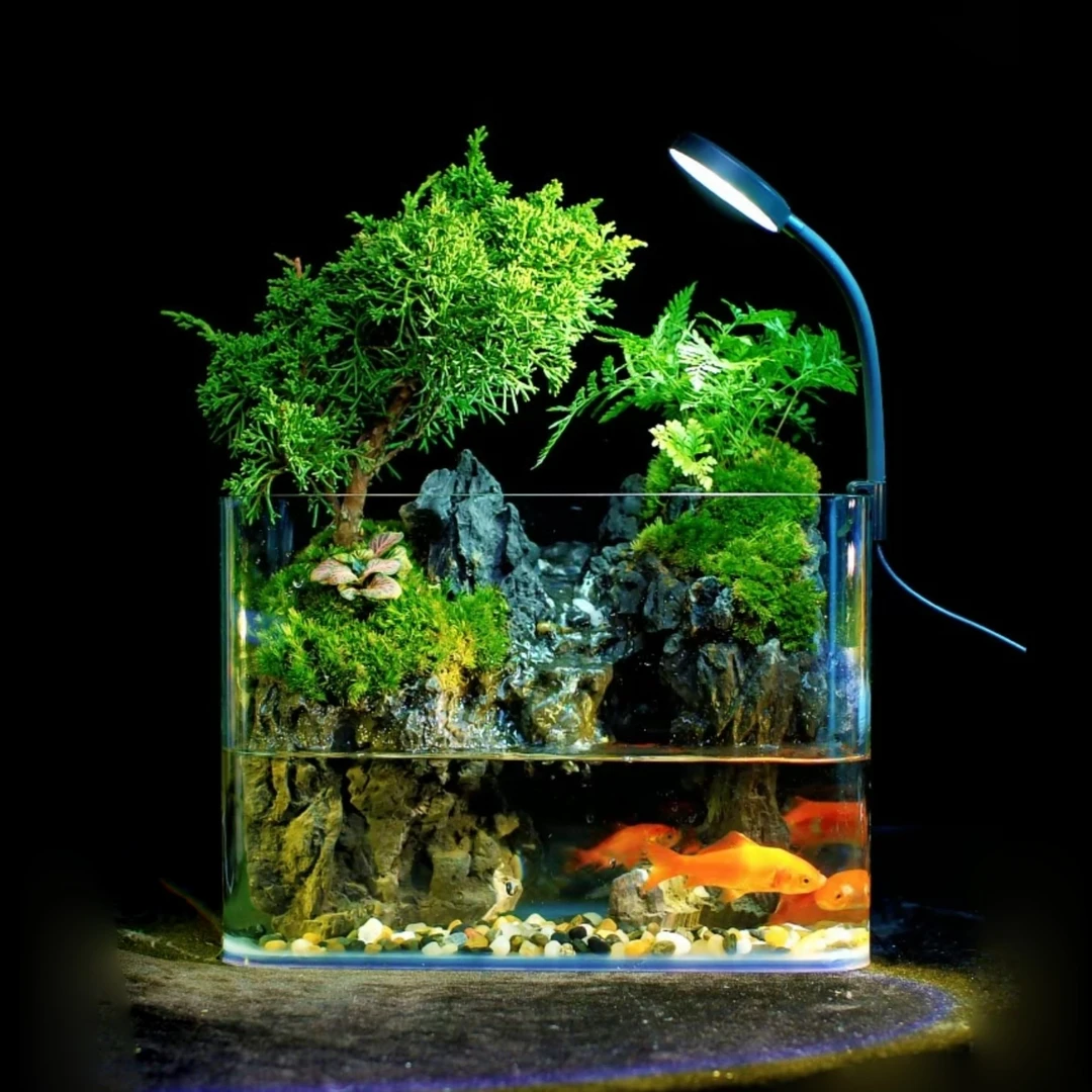 【原野】可拆洗高山流水 济州真柏 25*18*16桌面山水景观（不带鱼）