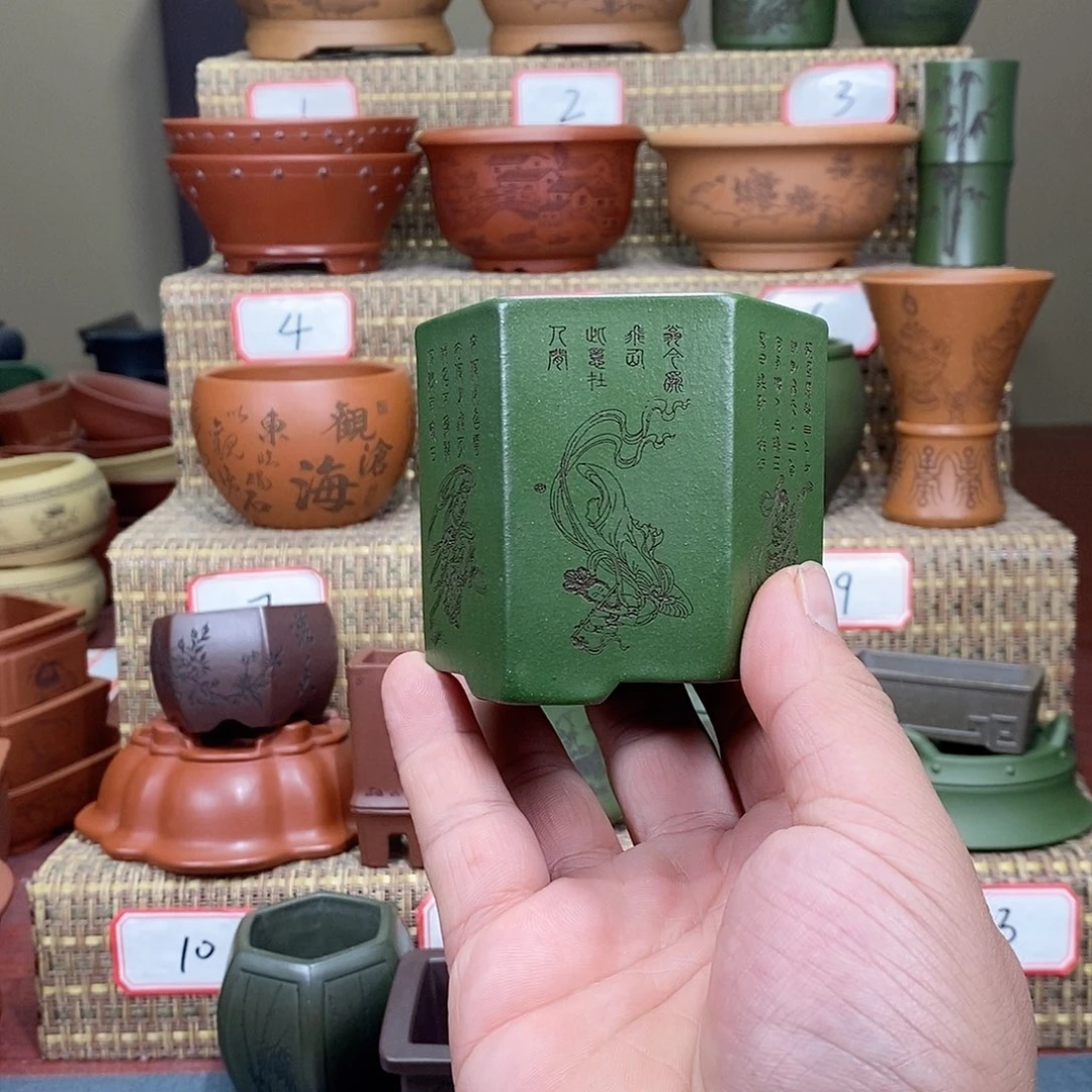 紫砂花盆我在等他