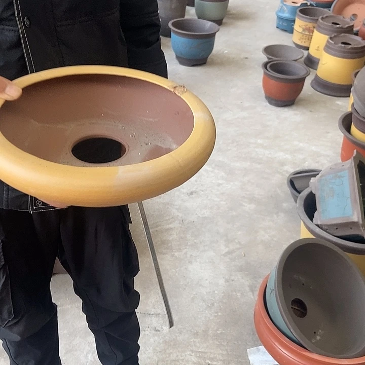 20 花盆花盆花盆花盆花盆好