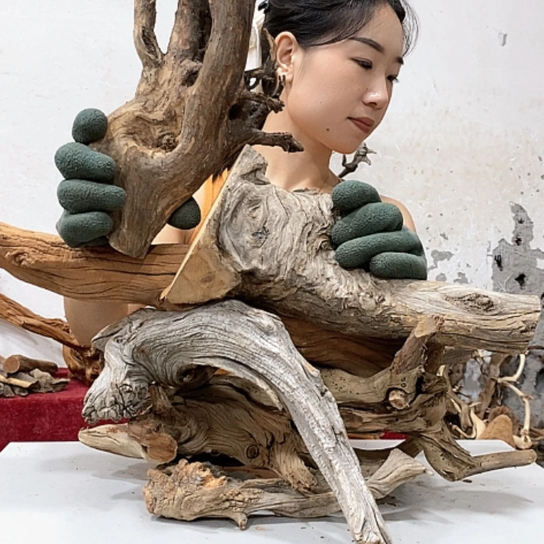 【闪购商品】柏木桂****店我们都是好孩子呀