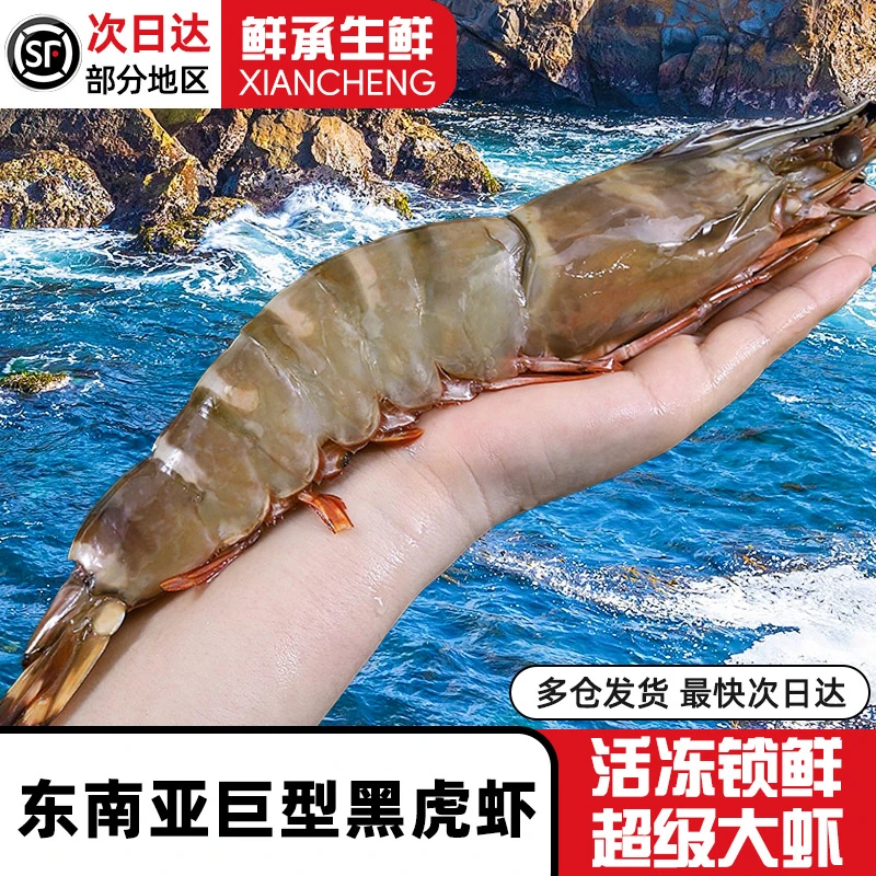 鲜承 东南亚进口黑虎虾老虎虾 斑节对虾2-6斤多规格 礼盒装家庭装