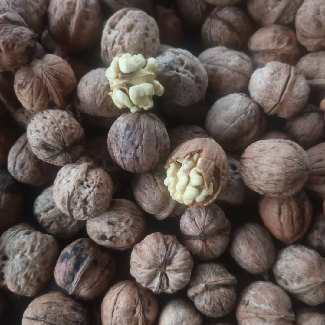 5号 25斤新鲜核桃专拍