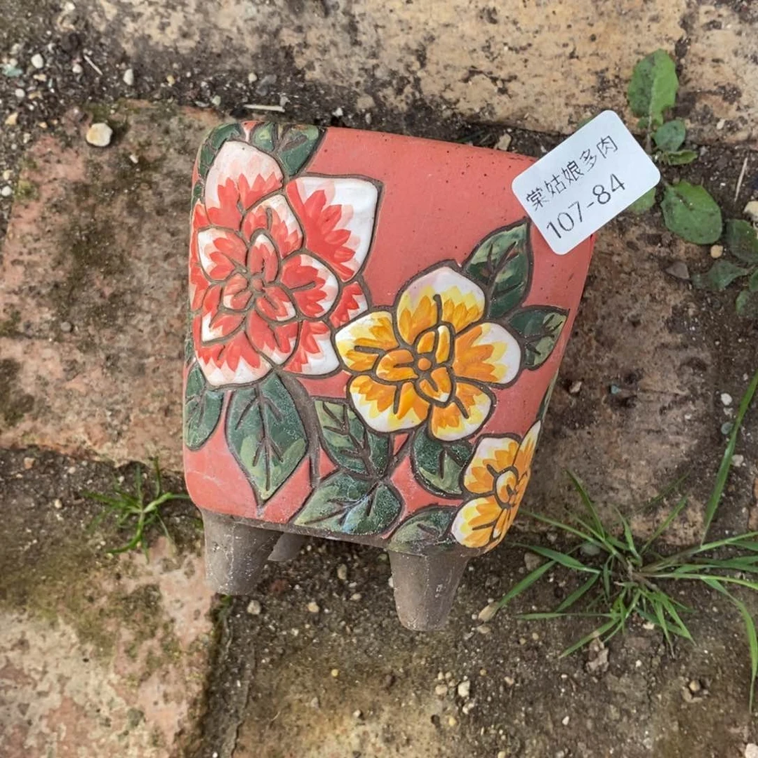 84号多肉盆一个的