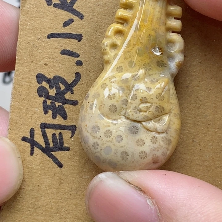 颈饰未镶嵌硅化珊瑚（珊瑚玉）