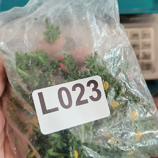 晓***晓023手工辅料库存DIY