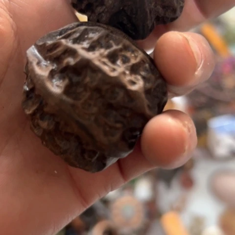 核桃木/黑胡桃（胡桃木）春***木