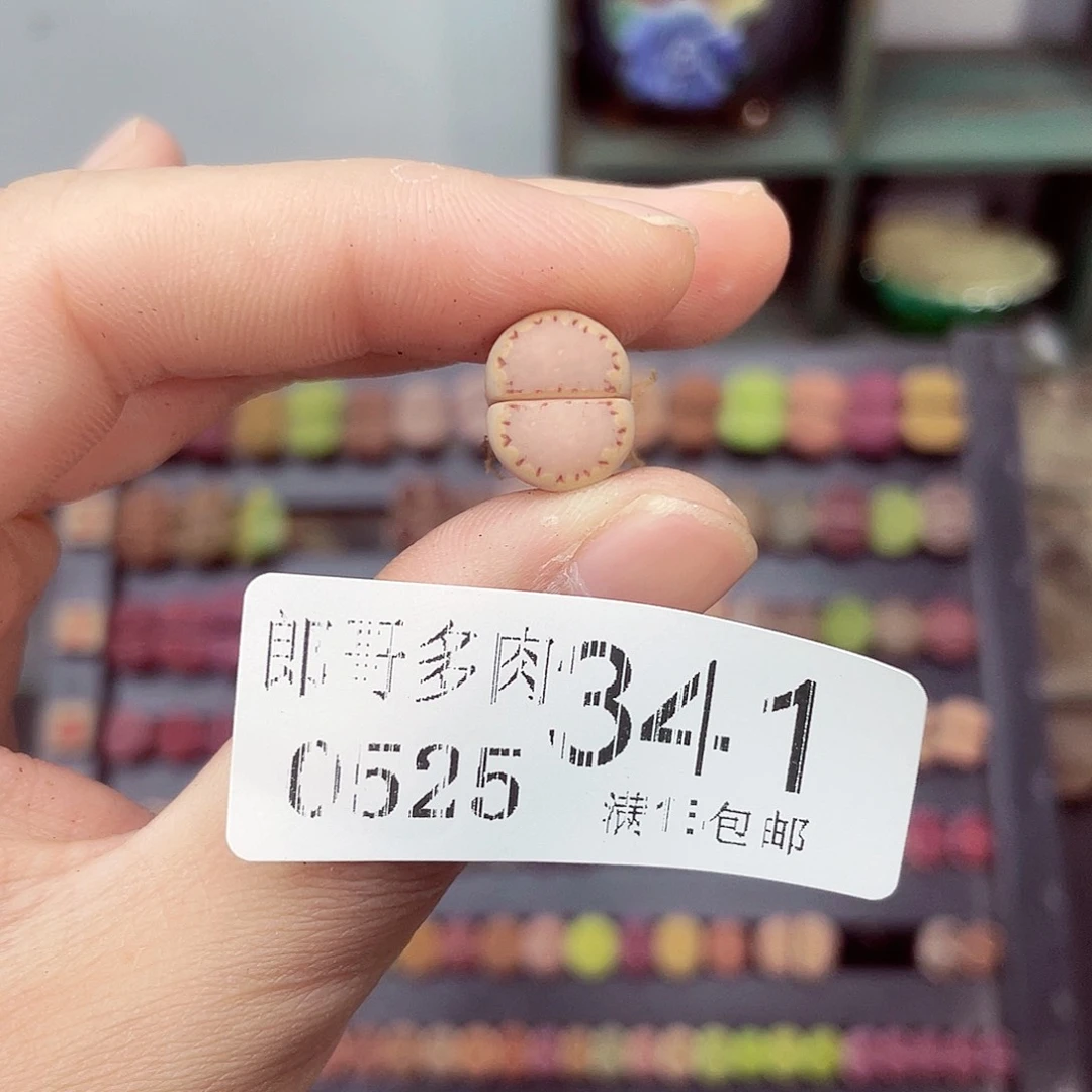 菠***包满18包邮0526-341