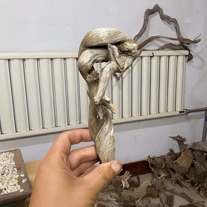 第***项柏木（崖柏）崖柏根雕天然艺术