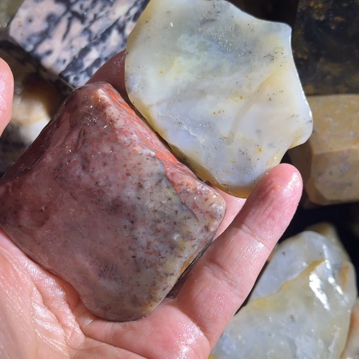 上***室寿山石88888888888888