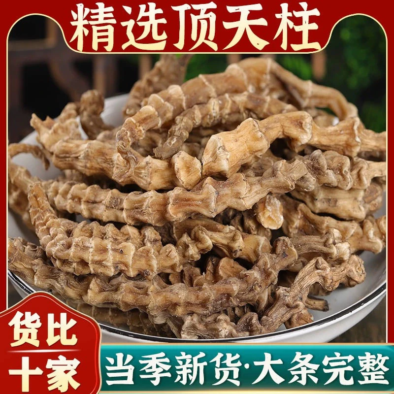 【顶天柱】云南特产地参虫草参顶天柱地参新鲜竹节参干货煲汤泡酒料