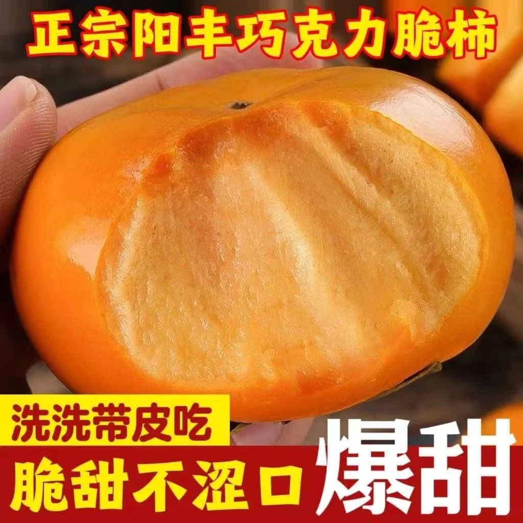 【果园直发】山西阳丰脆甜柿子正宗巧克力柿子现摘孕妇宝妈水果爆汁