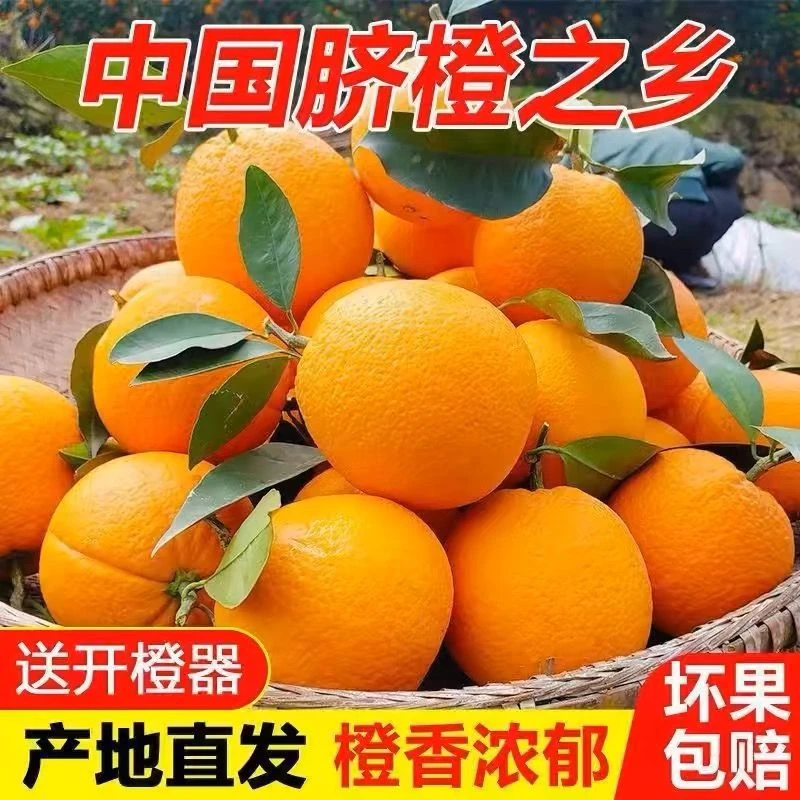 正宗江西赣南脐橙当季新鲜水果5-10斤鲜嫩多汁多仓发货-青木