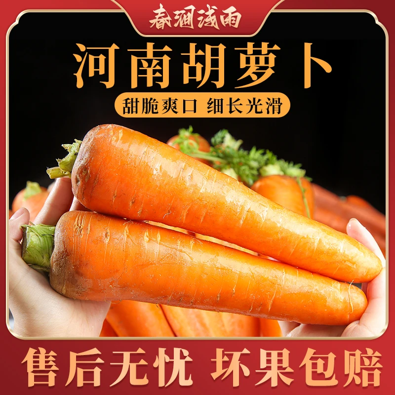 【春涧浅雨】河南胡萝卜4.5斤中果/大果甜脆爽口可生吃水果蔬菜