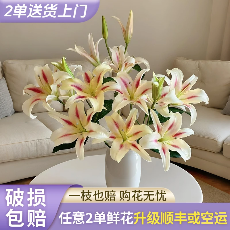 【源头优选】小仙女香水百合花水养插花用云南直发鲜花