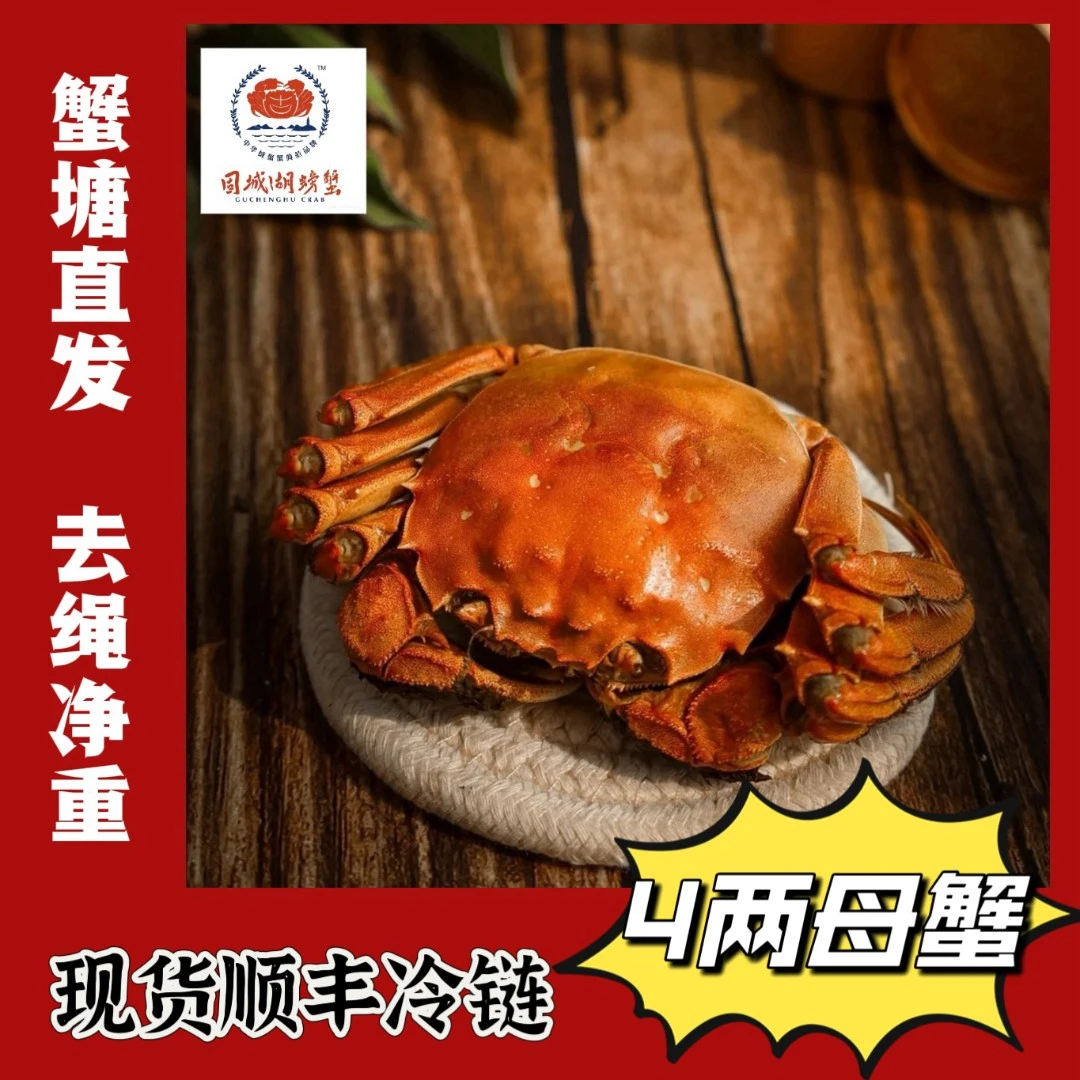 固城湖螃蟹【精品活蟹】固城湖大闸蟹母蟹4两8只装 蟹塘直发