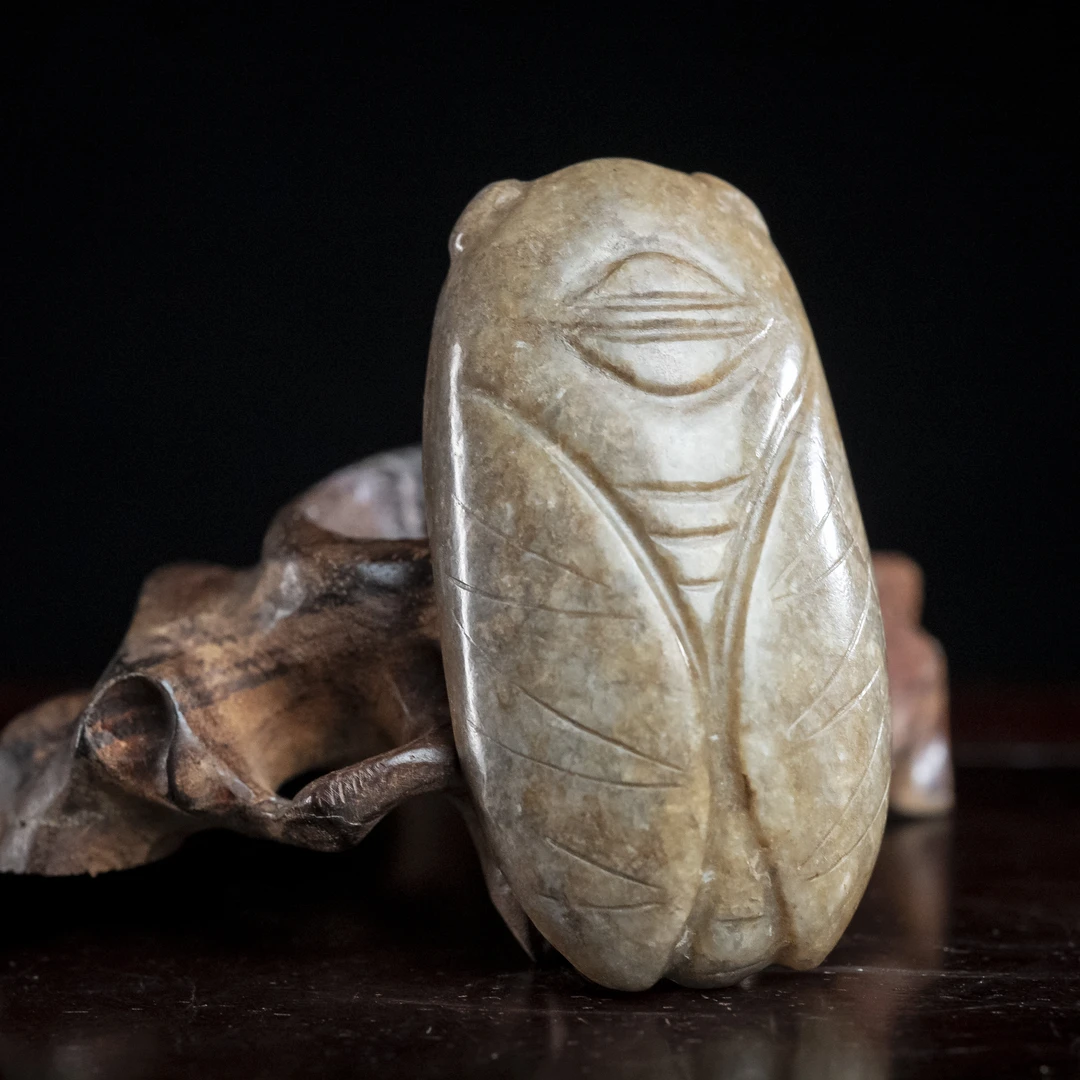 明代和田玉玉蝉挂坠-LM