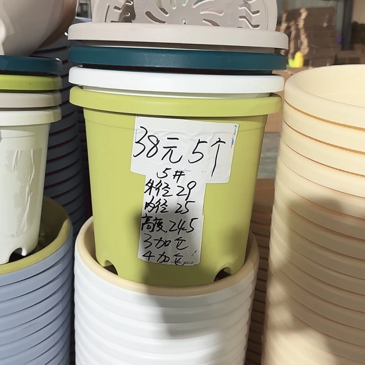 四季5#口径29带托灰白6套