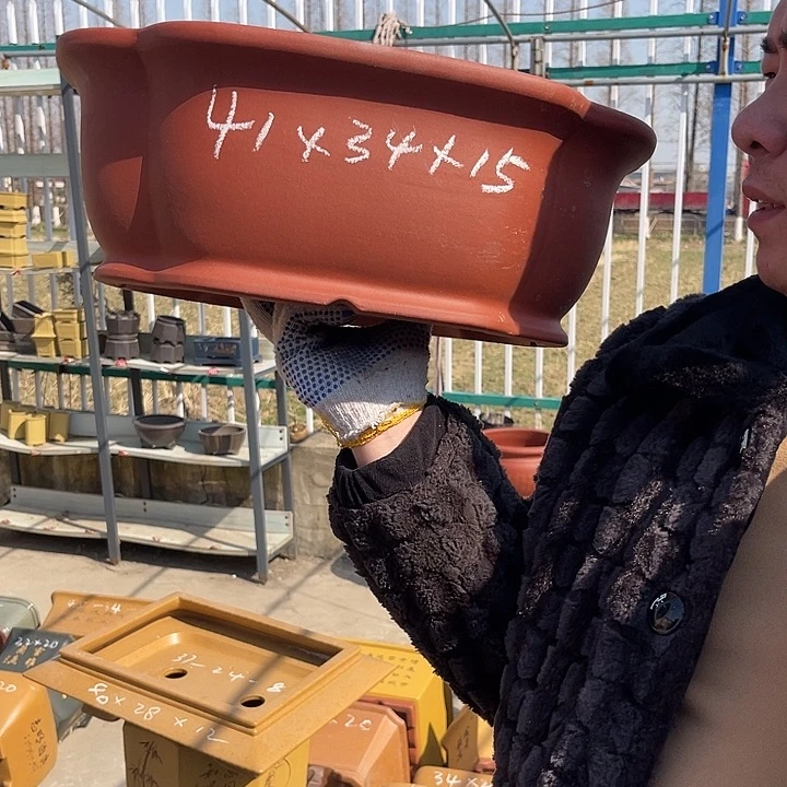 紫砂花盆紫砂花等