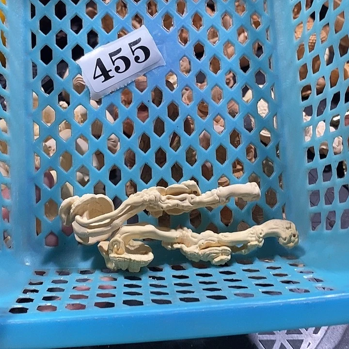 三***火木直播一物一拍 455