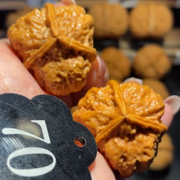 三角饭团核桃尺寸34