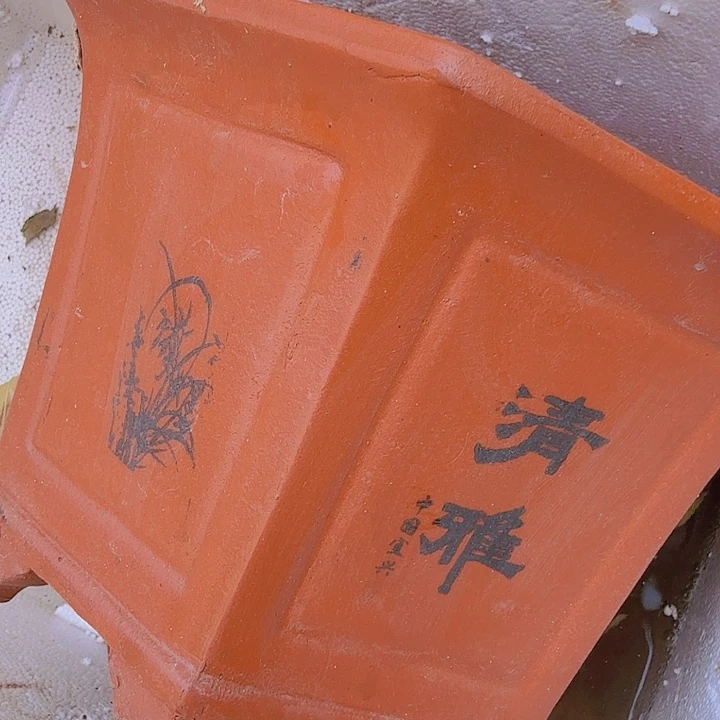 紫砂红清雅六方25花盆花盆