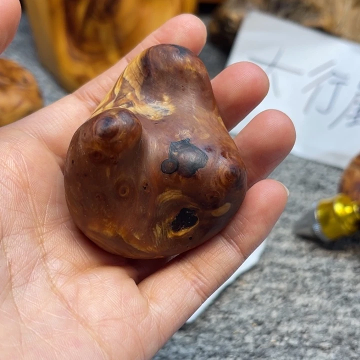 柏木（崖柏）崖柏57