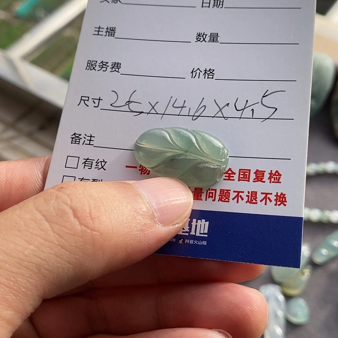 小***煜翡翠未镶嵌颈饰叶子