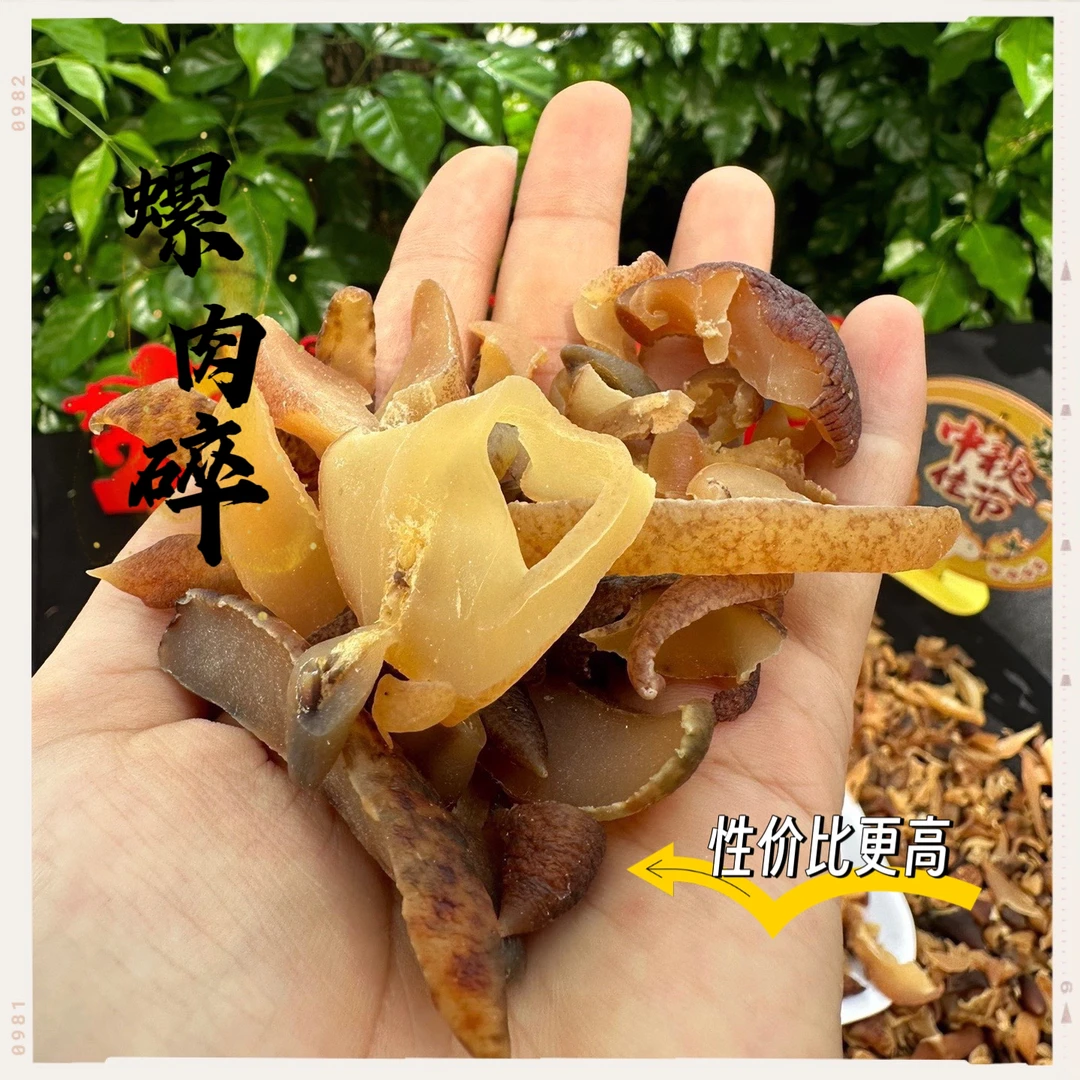 螺肉干广东汕尾本港船晒响螺肉双橄榄汤炖汤食材海产干货100g包邮