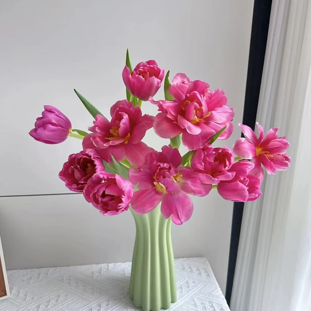 【方德】10枝方德瑞塔郁金香（长度25cm左右）小花苞【两单京东或顺丰】